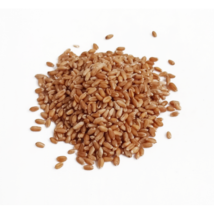 ALEIXO CEREAL TRIGO          - SACO  5KG