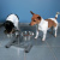 TRIXIE SUPORTE + 2 COMEDOUROS INOX 1,8 LT