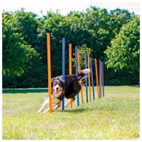 POSTES SLALOM PARA AGILITY POSTES SLALOM PARA AGILITY