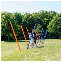 POSTES SLALOM PARA AGILITY POSTES SLALOM PARA AGILITY