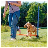 BARREIRA PARA AGILITY BARREIRA PARA AGILITY