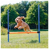 BARREIRA PARA AGILITY BARREIRA PARA AGILITY