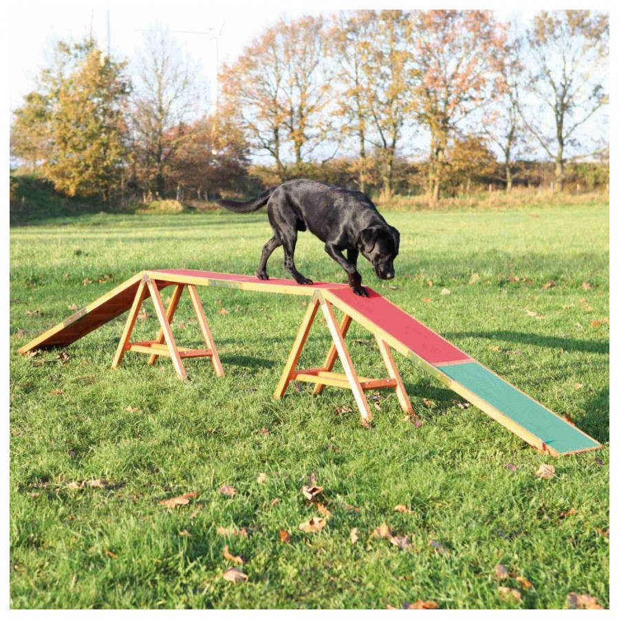 DOGWALK PARA AGILITY DOGWALK PARA AGILITY