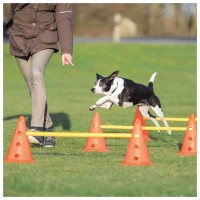 CONJUNTO DE OBSTÁCULOS PARA AGILITY 4 CONES +2 BARRAS CONJUNTO DE OBSTÁCULOS PARA AGILITY 4 CONES +2 BARRAS