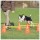 CONJUNTO DE OBSTÁCULOS PARA AGILITY 4 CONES +2 BARRAS