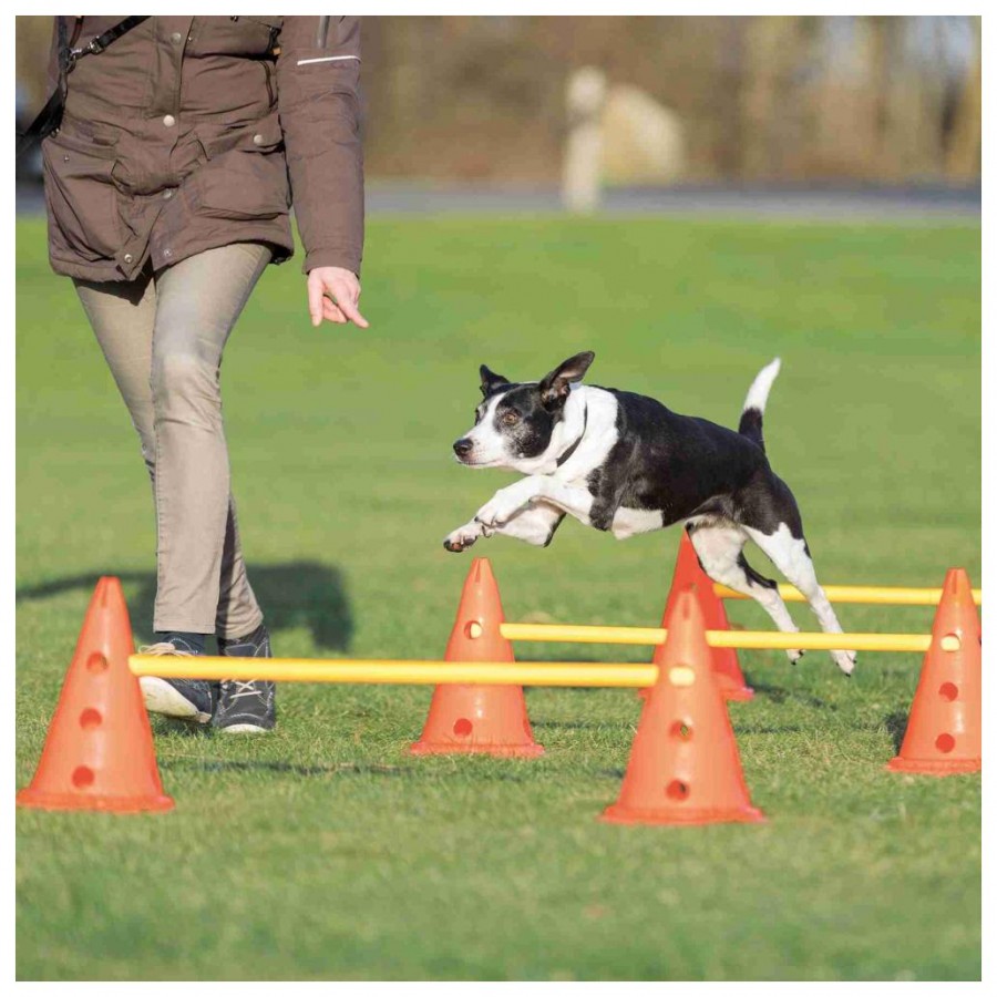 CONJUNTO DE OBSTÁCULOS PARA AGILITY 4 CONES +2 BARRAS CONJUNTO DE OBSTÁCULOS PARA AGILITY 4 CONES +2 BARRAS