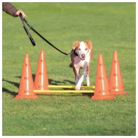 CONJUNTO DE OBSTÁCULOS PARA AGILITY 4 CONES +2 BARRAS CONJUNTO DE OBSTÁCULOS PARA AGILITY 4 CONES +2 BARRAS