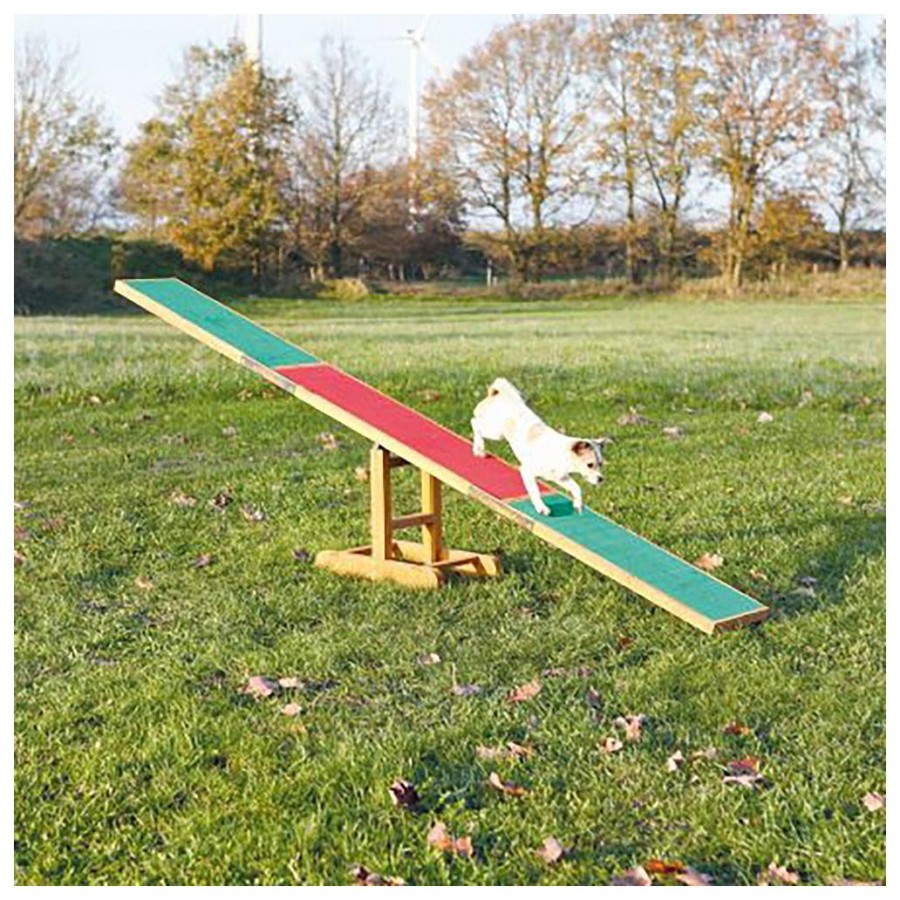 BALANCÉ PARA AGILITY BALANCÉ PARA AGILITY