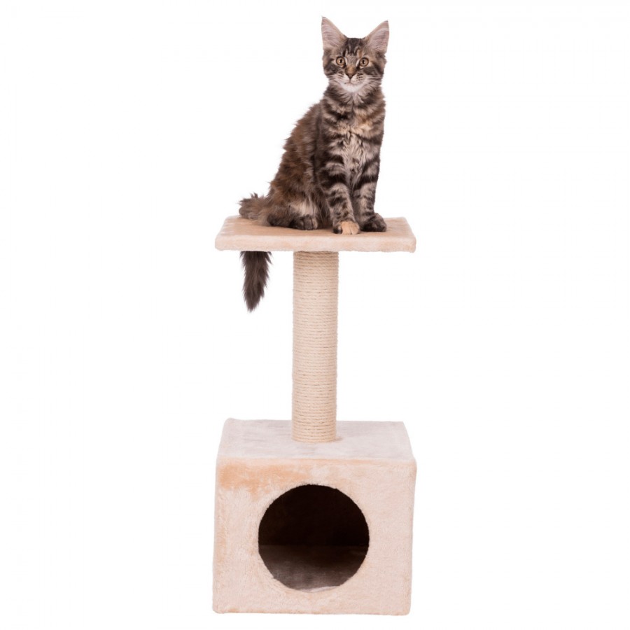 TRIXIE ARRANHADOR ZAMORA P/GATINHOS TRIXIE ARRANHADOR ZAMORA P/GATINHOS