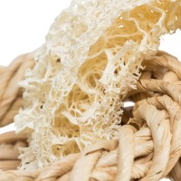 ARGOLA EM LUFA , VIME E FIBRAS DE MILHO ARGOLA EM LUFA , VIME E FIBRAS DE MILHO