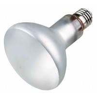 REPTILAND - PROSUN MIXED D3 (TUNGSTEN LAMP) 100W
