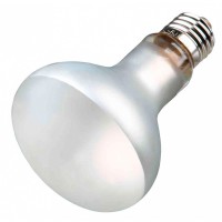 REPTILAND - PROSUN MIXED D3 (TUNGSTEN LAMP) 70W REPTILAND - PROSUN MIXED D3 (TUNGSTEN LAMP) 70W