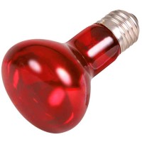 REPTILAND - INFRARED HEAT SPOT LAMP 50W