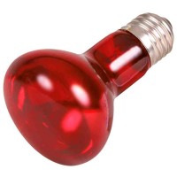 REPTILAND - INFRARED HEAT SPOT LAMP 75W REPTILAND - INFRARED HEAT SPOT LAMP 75W