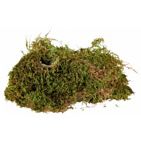 REPTILAND TERRARIEN-MOOS - MUSGO: SUBSTRATO PARA VIVÁRIOS HÚMIDOS 200G REPTILAND TERRARIEN-MOOS - MUSGO: SUBSTRATO PARA VIVÁRIOS HÚMIDOS 200G