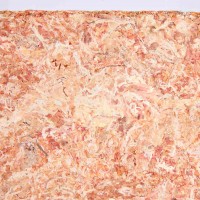 REPTILAND SPHAGNUM-MOOS - MUSGO SUBSTRATO TROPICAL 100G