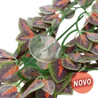 DECORAÇÃO PARA TERRÁRIO - PLANTA PARA TERRÁRIO MODELO FOLIUM PERILAE (M) DECORAÇÃO PARA TERRÁRIO - PLANTA PARA TERRÁRIO MODELO FOLIUM PERILAE (M)