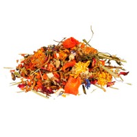 REPTILAND NATURFUTTER-MIX - MISTURA NATURAL PARA DRAGÕES BARBUDOS - 100G REPTILAND NATURFUTTER-MIX - MISTURA NATURAL PARA DRAGÕES BARBUDOS - 100G