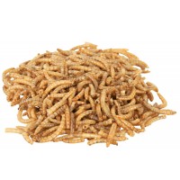 REPTILAND MEHLWURMER - VERMES DA FARINHA  - 70G