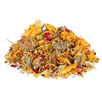 REPTILAND BLUTEN-MIX - COMPLEMENTO ALIMENTAR PARA RÉPTEIS "FLOWER MIX" - 75G