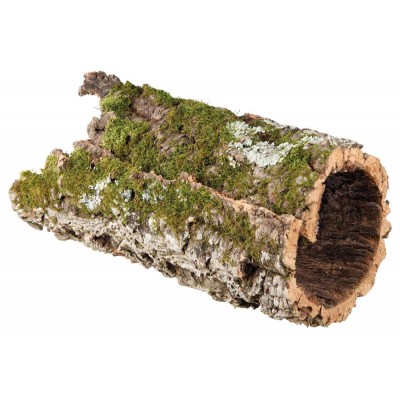 DECORAÇÃO PARA TERRÁRIO - TÚNEL DE CORTIÇA (XL)