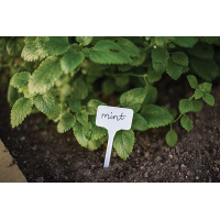 ETIQUETAS EM T P/PLANTAS 15X5,5CM ETIQUETAS EM T P/PLANTAS 15X5,5CM