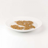 WISBROEK CRANE DIET - 15 KG