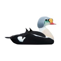 WISBROEK SEA DUCK FLOATING - 15 KG