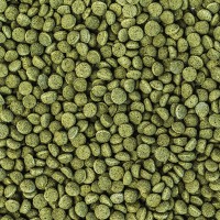 WISBROEK PAPAGAIOS NUT BLEND DAILY LARGE  - 10 KG