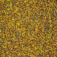 WISBROEK LORY DIET  - 10 KG
