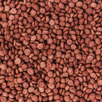 WISBROEK PAPAGAIOS FRUIT BLEND DAILY LARGE  - 1 KG