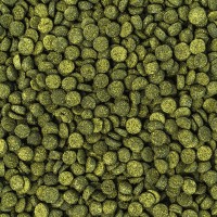 WISBROEK PAPAGAIOS NUT BLEND BOOSTER - 1 KG WISBROEK PAPAGAIOS NUT BLEND BOOSTER - 1 KG