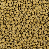 WISBROEK PAPAGAIOS LOW FAT DAILY LARGE  - 10 KG