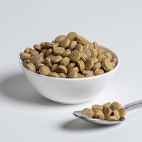 WISBROEK PAPAGAIOS LOW FAT DAILY LARGE  - 1 KG