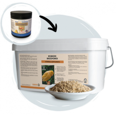 WISBROEK BREEDPOWER - 3KG