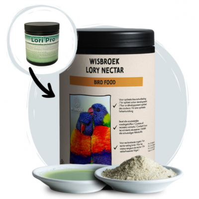 WISBROEK LORY NECTAR - 800G
