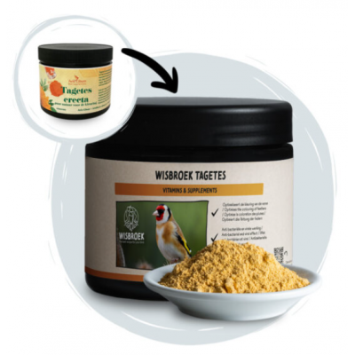 WISBROEK TAGETES 250G