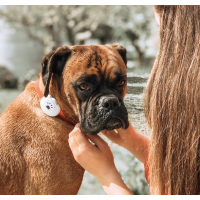 WHERESPET SIMBA - LOCALIZADOR GPS PARA CÃES