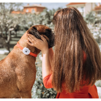 WHERESPET SIMBA - LOCALIZADOR GPS PARA CÃES