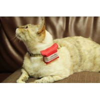 WHERESPET SIMBA - LOCALIZADOR GPS PARA CÃES
